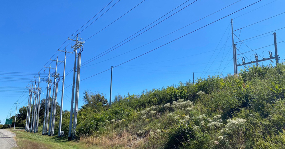 4 Guidelines for Choosing Utility Pole Material