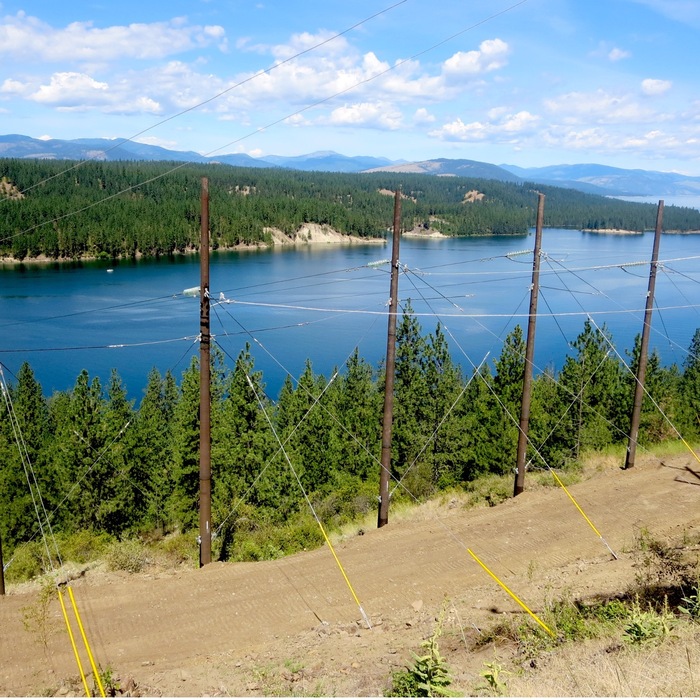 Strengthening the Electric Grid