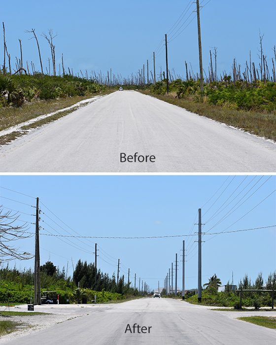 Strengthening the Electric Grid